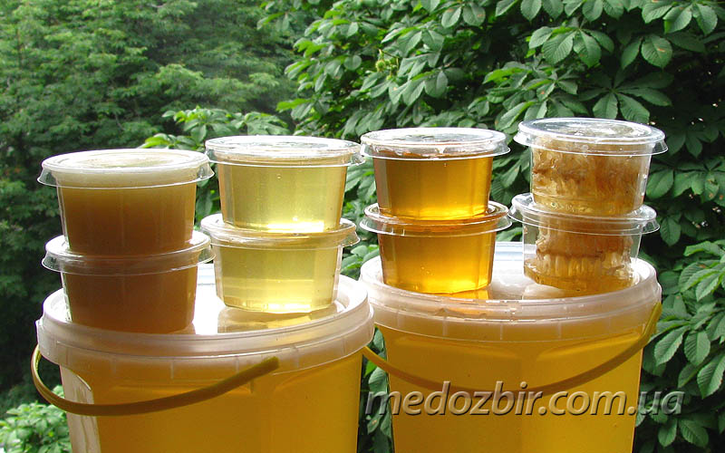Зразки меду с пасіки Медозбір